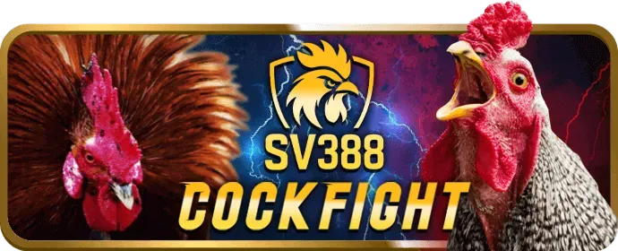 Đội ngũ chuyên gia của Soi69 Login